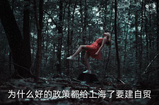 為什么要設(shè)立上海自貿(mào)區(qū)，上海自貿(mào)區(qū)成立的目的