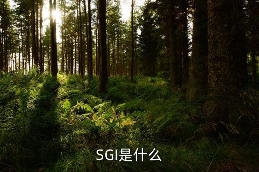 開源證券是什么，SGI是什么
