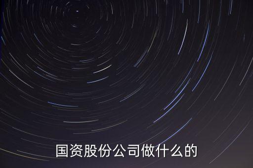 國(guó)資公司是做什么的，國(guó)資股份公司做什么的
