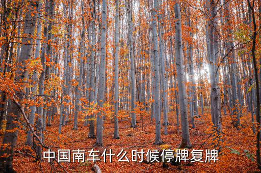 中國(guó)南車什么情況，中國(guó)南車跌停預(yù)示著大盤明天有什么狀況