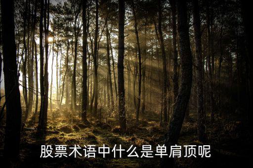 復(fù)肩頂股票里什么意思，頭頂肩在股市中是什么意思