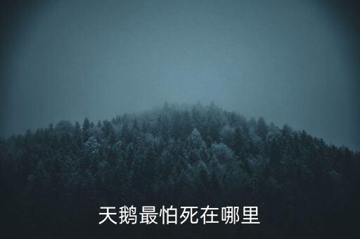 天鵝怕什么，天鵝最怕死在哪里