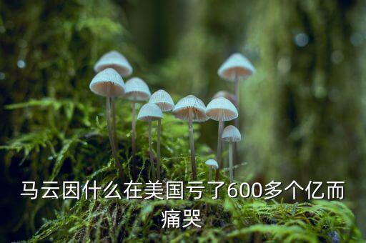 馬云因什么在美國虧了600多個(gè)億而痛哭