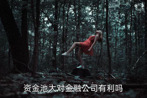 擠兌風(fēng)波是什么意思，請?jiān)敿?xì)解釋下銀行的擠兌事件的具體內(nèi)容