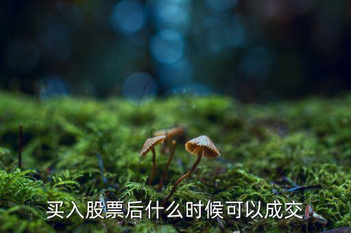 股票什么時候能交易，每天什么時候可以買入股票什么時候可以賣出股票