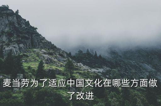 麥當(dāng)勞中國(guó)的愿景是什么，麥當(dāng)勞為了適應(yīng)中國(guó)文化在哪些方面做了改進(jìn)