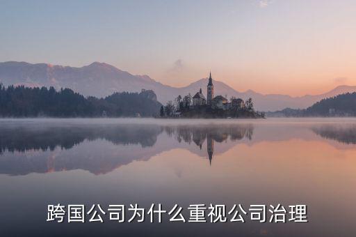 為什么要公司治理，索尼公司為何要進行公司治理改革