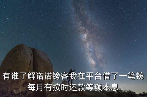 有誰(shuí)了解諾諾鎊客我在平臺(tái)借了一筆錢(qián)每月有按時(shí)還款等額本息
