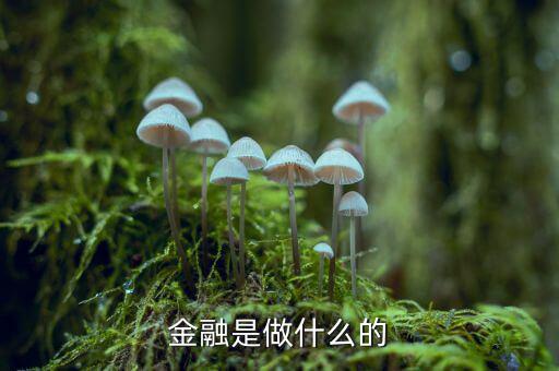 中國(guó)29金融是干什么的，金融是干什么的