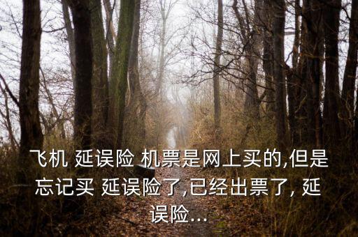 飛機(jī) 延誤險(xiǎn) 機(jī)票是網(wǎng)上買(mǎi)的,但是忘記買(mǎi) 延誤險(xiǎn)了,已經(jīng)出票了, 延誤險(xiǎn)...