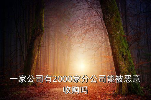 初靈信息為什么要并購，一家公司有2000家分公司能被惡意收購嗎