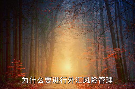 中國為什么實行外匯管制，為什么要加入國家外匯管理局工作