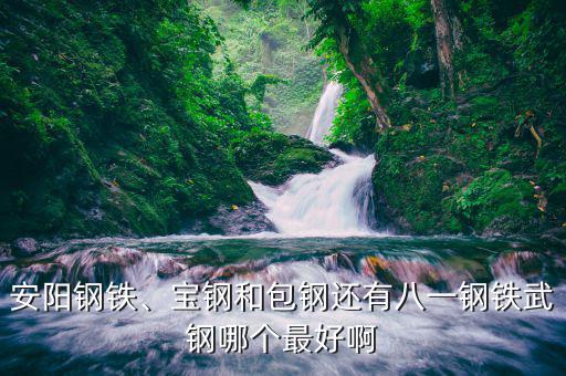 安陽(yáng)鋼鐵、寶鋼和包鋼還有八一鋼鐵武鋼哪個(gè)最好啊