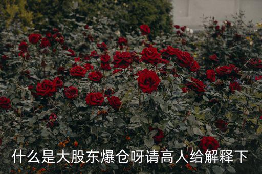 大股東爆倉(cāng)什么意思，什么是大股東爆倉(cāng)呀請(qǐng)高人給解釋下