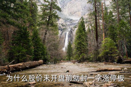 還沒開盤就漲停就什么，早上6000831沒到開盤就漲停什么意義