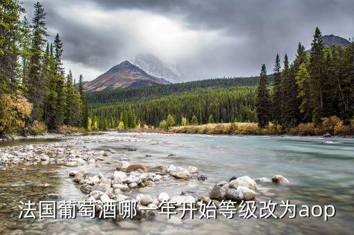 法國發(fā)生什么改革，法國葡萄酒哪一年開始等級(jí)改為aop