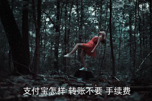  支付寶怎樣 轉賬不要 手續(xù)費