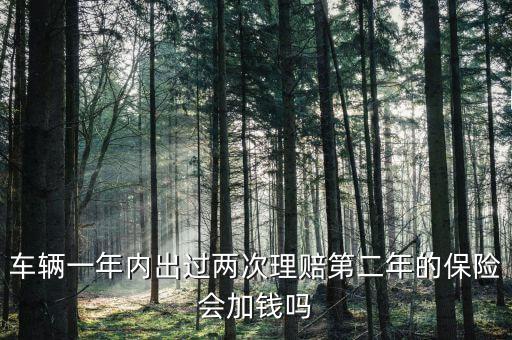 一年中兩次事故理培有什么影響，車輛一年內(nèi)出過(guò)兩次理賠第二年的保險(xiǎn)會(huì)加錢嗎