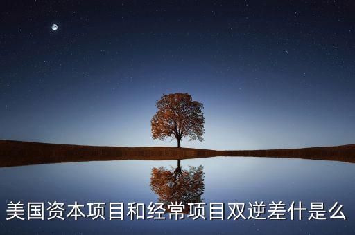 雙逆差是什么意思，逆差是什么意思