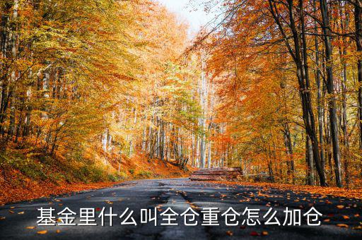 什么是基金加倉，基金里什么叫全倉重倉怎么加倉