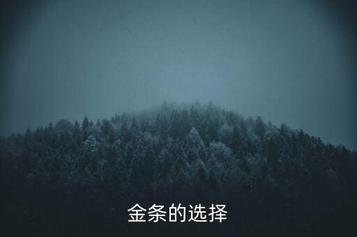 2O16什么金條保值，金條的選擇