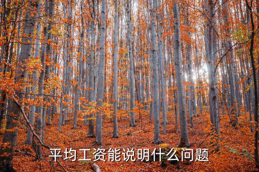 平均工資能說(shuō)明什么問(wèn)題