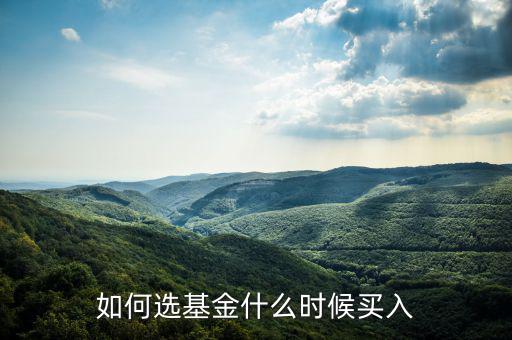 一只基金什么點買入好，我想買點基金哪一種比較好