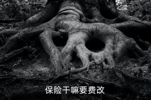 什么是費(fèi)改產(chǎn)品，移動(dòng)營(yíng)業(yè)廳不能由用戶老產(chǎn)品轉(zhuǎn)換成當(dāng)前產(chǎn)品什么意思