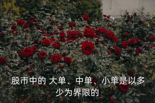 股市中的 大單、中單、小單是以多少為界限的