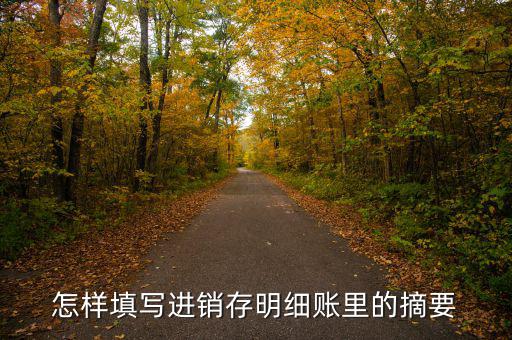 購入存貨摘要是什么，如果是進貨那么存貨分類帳上的摘要寫什么