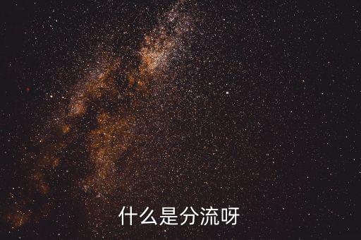 大分流指的是什么，大學分流有什么一流大學還有二流大學以及三流大學是怎么劃分