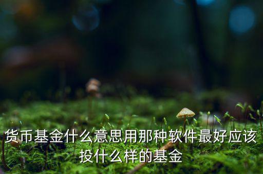 貨幣基金t什么意思，貨幣基金贖回時(shí)間T3是什么意思