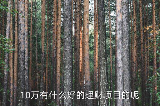 10萬做什么理財(cái)好，10萬有什么好的理財(cái)項(xiàng)目的呢