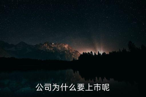 公司為什么上市，公司為什么要上市呢