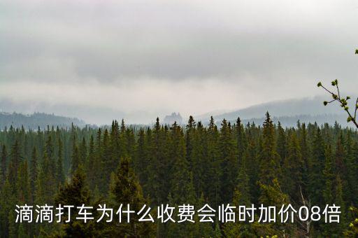 滴滴打車為什么收費(fèi)會臨時加價08倍