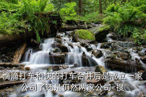 滴滴快的合并后叫什么，滴滴打車和快的打車合并后是成立一家公司了還是仍然兩家公司  搜