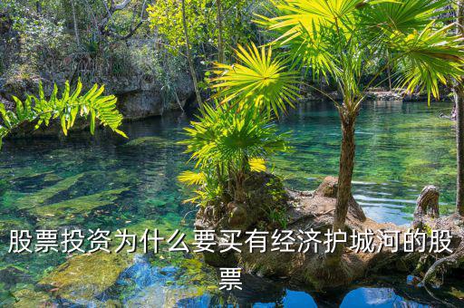 什么是股票投資的護(hù)城河理論，從基本面看證券投資的護(hù)城河是指哪幾類情況