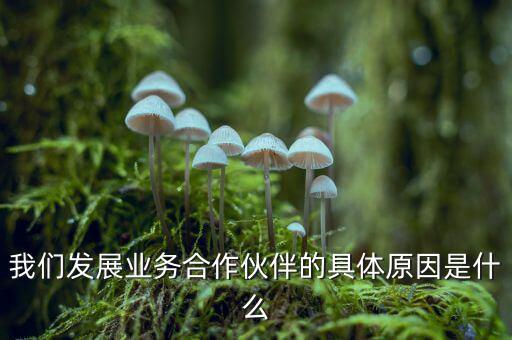 為什么要發(fā)展同業(yè)業(yè)務(wù)，匯付天下之前說要大力發(fā)展同業(yè)業(yè)務(wù)同業(yè)業(yè)務(wù)指的是甚么