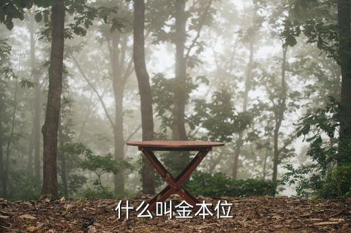 什么是金本位制度，什么叫金本位