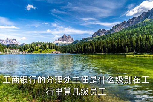 銀行分理處值班經(jīng)理是什么職位，工商銀行的分理處主任是什么級別在工行里算幾級員工