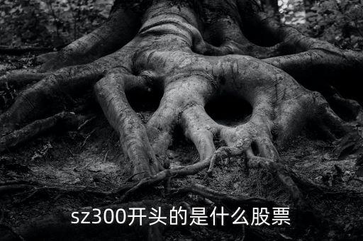 sz開(kāi)頭的是什么股票，sz300開(kāi)頭的是什么股票