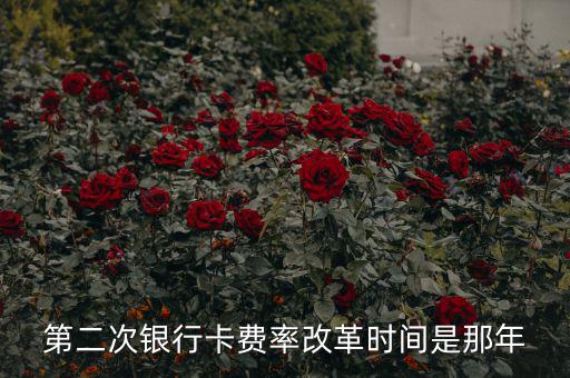 各銀行手續(xù)費(fèi)改革什么時(shí)候開(kāi)始，第二次銀行卡費(fèi)率改革時(shí)間是那年