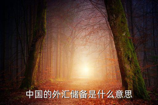中國外匯儲備包括什么，我國外匯儲備