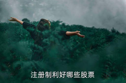 什么股票注冊制，IPO注冊制是什么意思