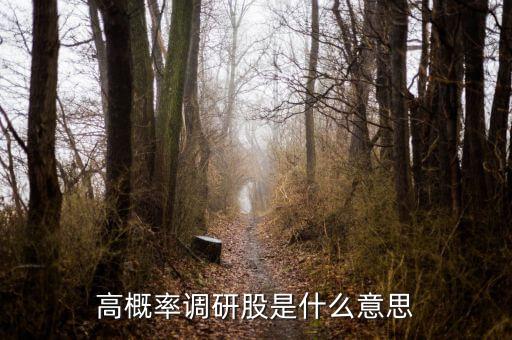 股票調(diào)研是什么意思，高概率調(diào)研股是什么意思