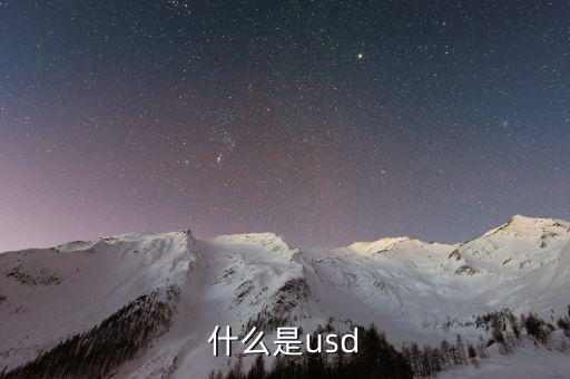 usd是什么，usd是什么貨幣
