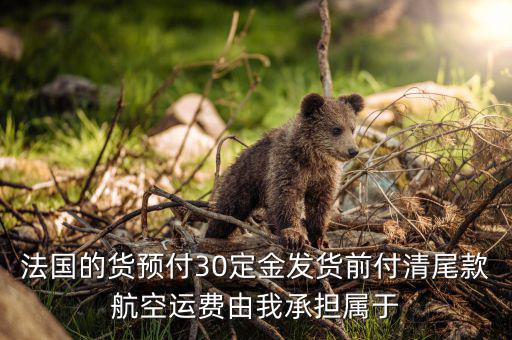 法國的貨預(yù)付30定金發(fā)貨前付清尾款航空運費由我承擔屬于