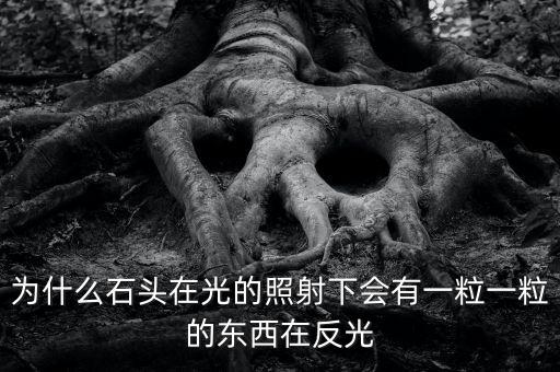 中金星石為什么這么差，為什么石頭在光的照射下會有一粒一粒的東西在反光