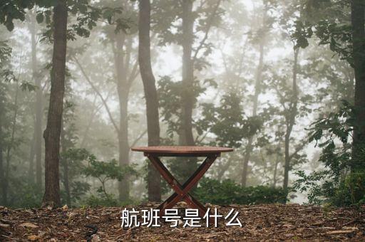 航班號(hào)ms什么，MS是什么航空