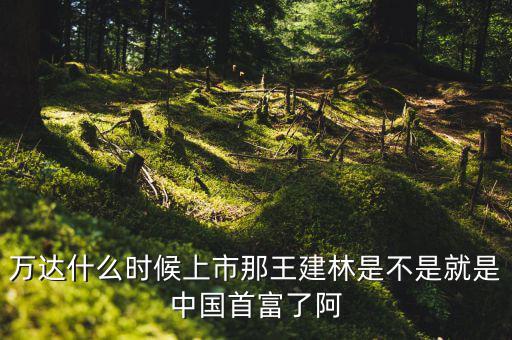萬達什么時候上市，中國萬達集團是否上市